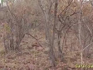 אקסטרים מבוגר וידאו safari פטיש של xxx וידאו