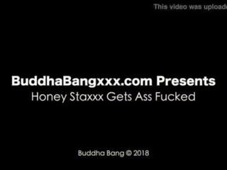 Honey staxxx gets fucked in the ass-trailer