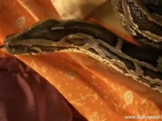 Bollywood Nudes: Petite sweetheart teasing with snake bollywood style